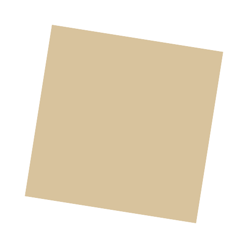 99 Organizers